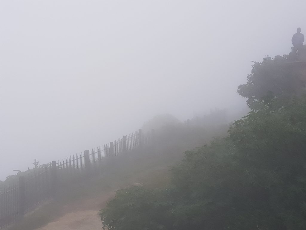 Foggy Morning - Nandi Hills